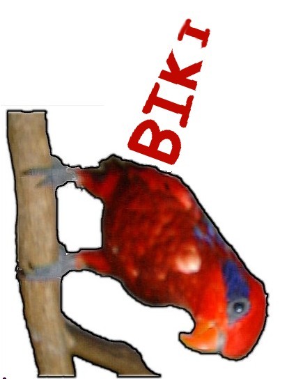 Biki Iron On Transfer #1