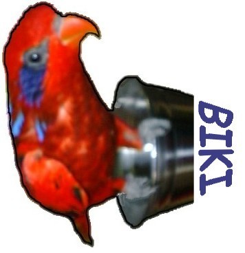 Biki Iron On Transfer #2