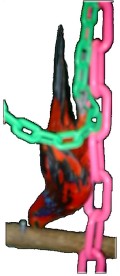 Upside Down Biki