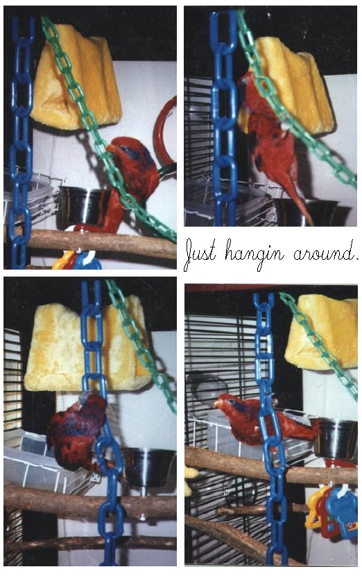 Just hangin' around