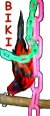 thumbnail of Biki with chains