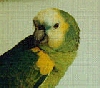 thumbnail of Carmen